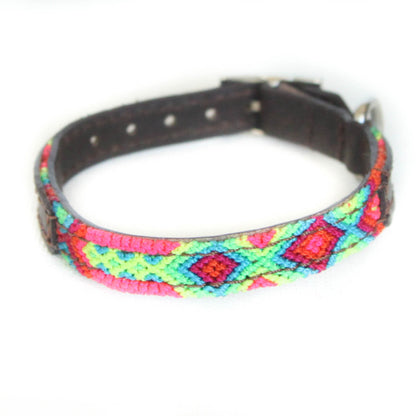 Neon - Embroidered Dog Collar With Leather