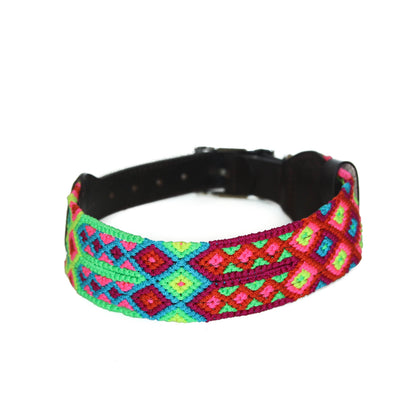 Neon - Embroidered Dog Collar With Leather