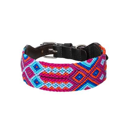 Fiesta Blue - Embroidered Dog Collar With Leather