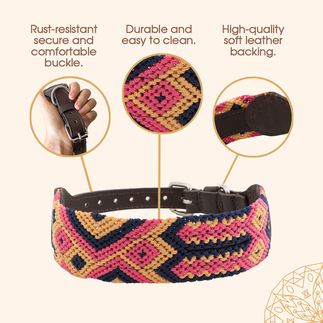 Harmonic Tan - Embroidered Dog Collar With Leather