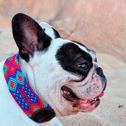 Fiesta Blue - Embroidered Dog Collar With Leather