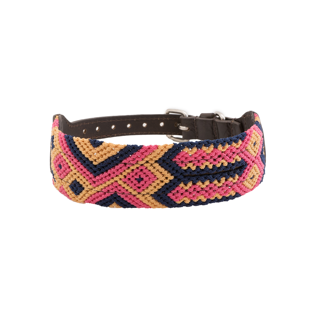 Harmonic Tan - Embroidered Dog Collar With Leather