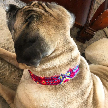 Mai Tai - Embroidered Dog Collar With Leather