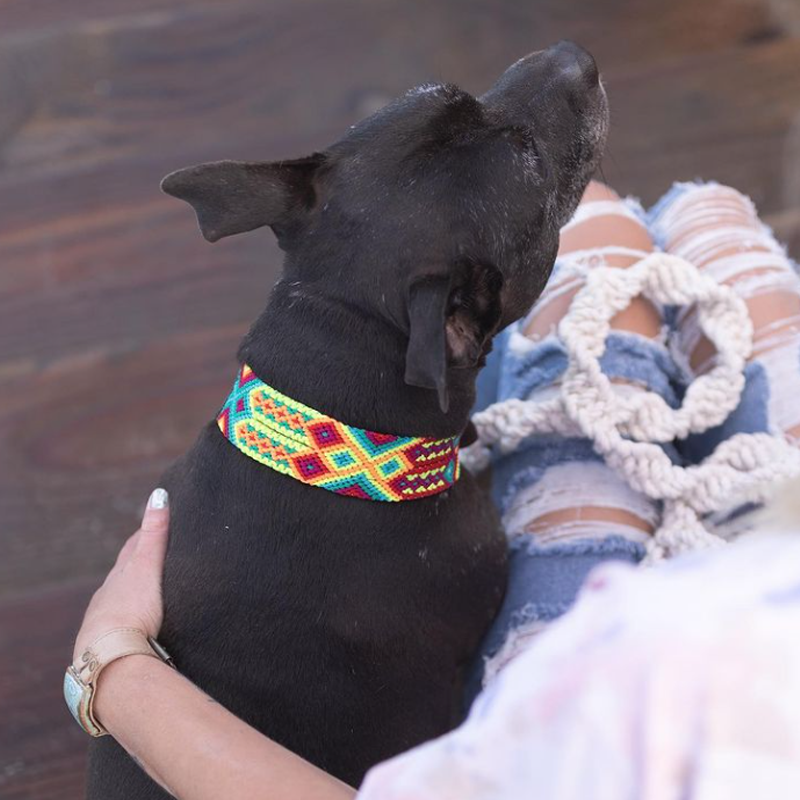 Sunset Red - Embroidered Dog Collar With Leather